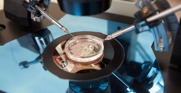 an in vitro fertilization procedure being performed upon a petri dish and its contents