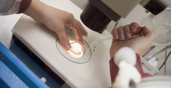 a doctor performs in vitro fertilization on a petri dish full of eggs