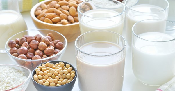 a array of foods that contribute to lactose intolerance and milk allergies
