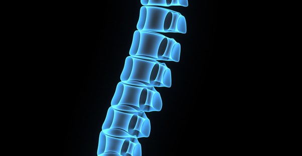 a computer generated image of a blue spine to symbolize spine pain